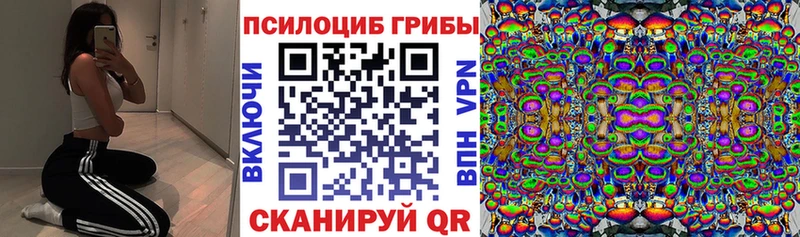 Псилоцибиновые грибы мицелий  Купить закладки  Сертолово 